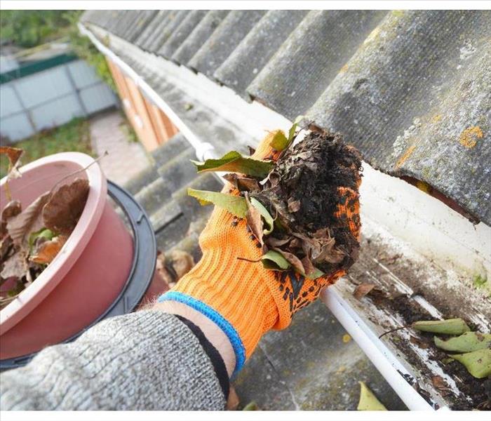 Hand wearing an orange glove holding leaves from a dirty gutter, cleaning a dirty gutter.