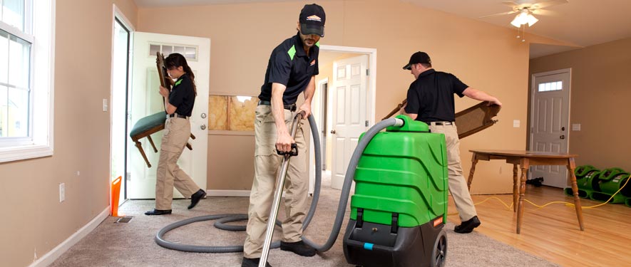 Auburn, WA cleaning services